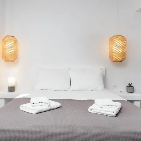 Depis Private Plaka Naxos 别墅